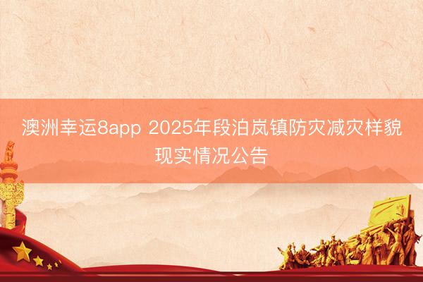 澳洲幸运8app 2025年段泊岚镇防灾减灾样貌现实情况公告