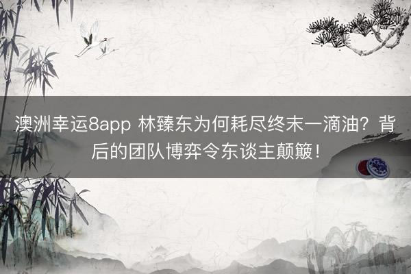 澳洲幸运8app 林臻东为何耗尽终末一滴油?背后的团队博弈令东谈主颠簸!